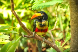 Diamante Eco Adventure Park: Costa Rican Cultural Experience