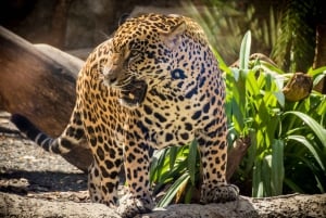 Diamante Eco Adventure Park : laissez-passer pour le sanctuaire de la faune
