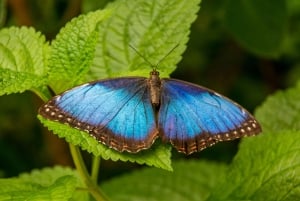 Diamante Eco Adventure Park: Wildlife Sanctuary Pass