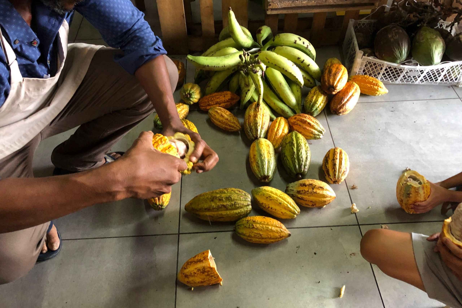 Tutustu Limóniin: Limón: Kulttuurinen ja historiallinen keskustakävely