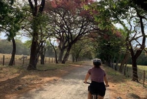 Discover the Magic of Nosara Cycling Tour