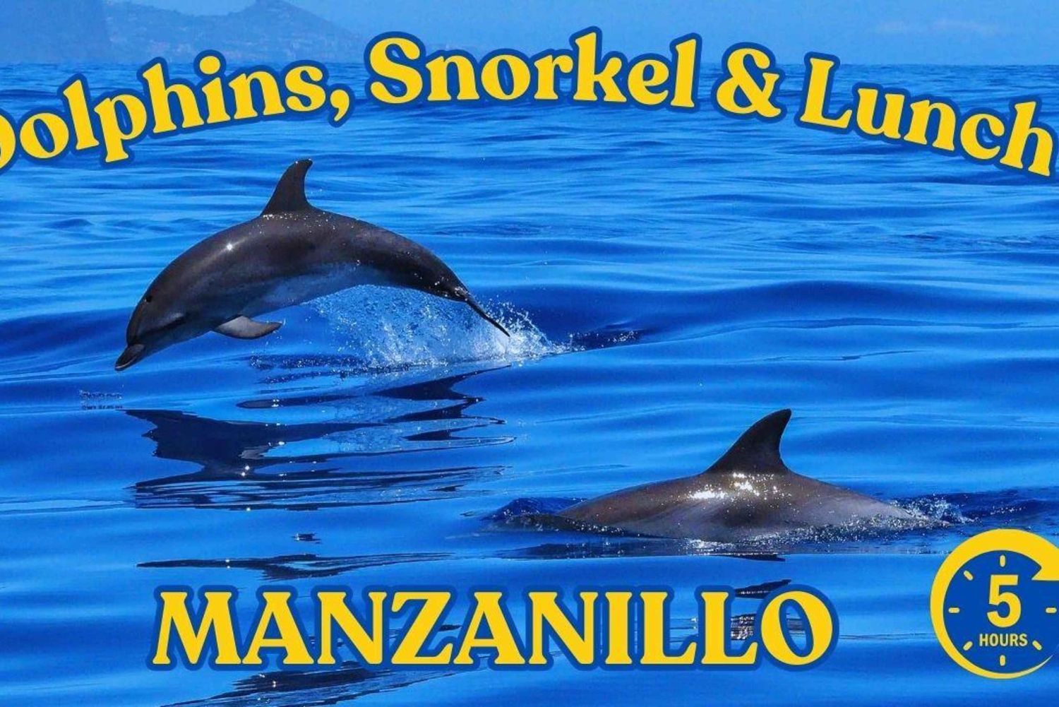 Sumérgete en el Paraíso: Delfín de Manzanillo, Snorkel y Comida