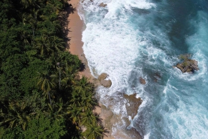 Mergulha no ParaÃso: Golfinho de Manzanillo, Snorkel e Almoço