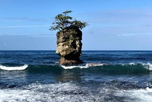 Mergulha no ParaÃso: Golfinho de Manzanillo, Snorkel e Almoço
