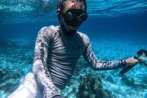 Sumérgete en el Paraíso: Delfín de Manzanillo, Snorkel y Comida