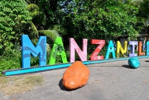 Sumérgete en el Paraíso: Delfín de Manzanillo, Snorkel y Comida