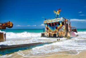 Sumérgete en el Paraíso: Delfín de Manzanillo, Snorkel y Comida