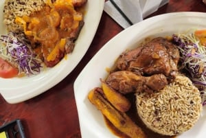 Sumérgete en el Paraíso: Delfín de Manzanillo, Snorkel y Comida