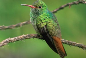 Sentier de randonnée de Doka