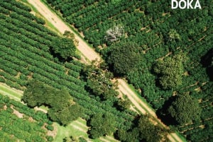 Doka Trail Entry Ticket with Coffee and Chocolate Tasting