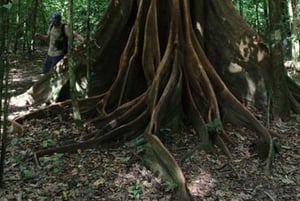 Drake Bay: Corcovado National Park Sirena Station and Lunch