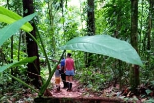 Drake Bay: Wanderung zum Corcovado mit Mittagessen