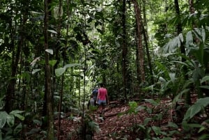 Drake Bay: Wanderung zum Corcovado mit Mittagessen