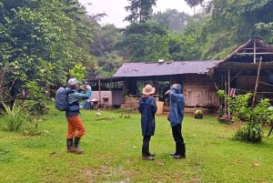 Drake Bay: Wanderung zum Corcovado mit Mittagessen