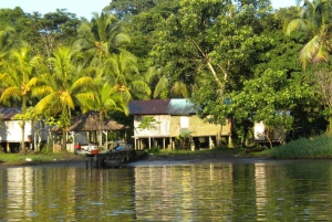Drake Bay: Delfin- och valskådningstur