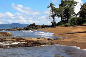 Drake Bay: Explore Drake Bay como um local Caminhada guiada na praia
