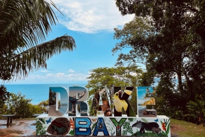 Drake Bay: Tutustu Drake Bayhin paikallisena rantaretkellä Opastettuna
