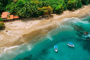 Drake Bay: Explore Drake Bay como um local Caminhada guiada na praia