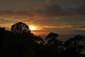 Drake Bay: Jungle Hiking and Canyoning Adventure with Lunch