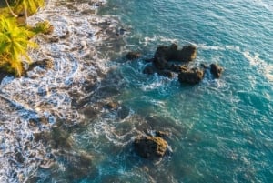 Drake Bay: Jungle Hiking and Canyoning Adventure with Lunch