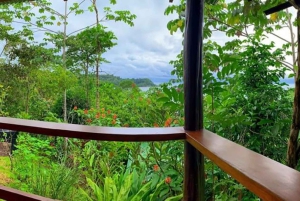 Drake Bay: Djungelvandring och canyoningäventyr med lunch