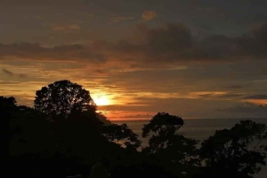 Drake Bay: Djungelvandring och canyoningäventyr med lunch