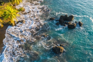 Drake Bay: Djungelvandring och canyoningäventyr med lunch