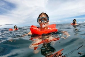 Drake Bay: Snorkeling Tour in Caño Island with Lunch