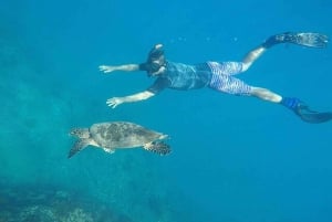 Drake Bay: Snorkeling Tour in Caño Island with Lunch