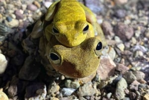 DrakeBay Jungle Night Hike