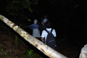 DrakeBay Jungle Night Hike