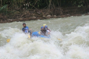 Eco-Adventure Rafting and Zipline Combo