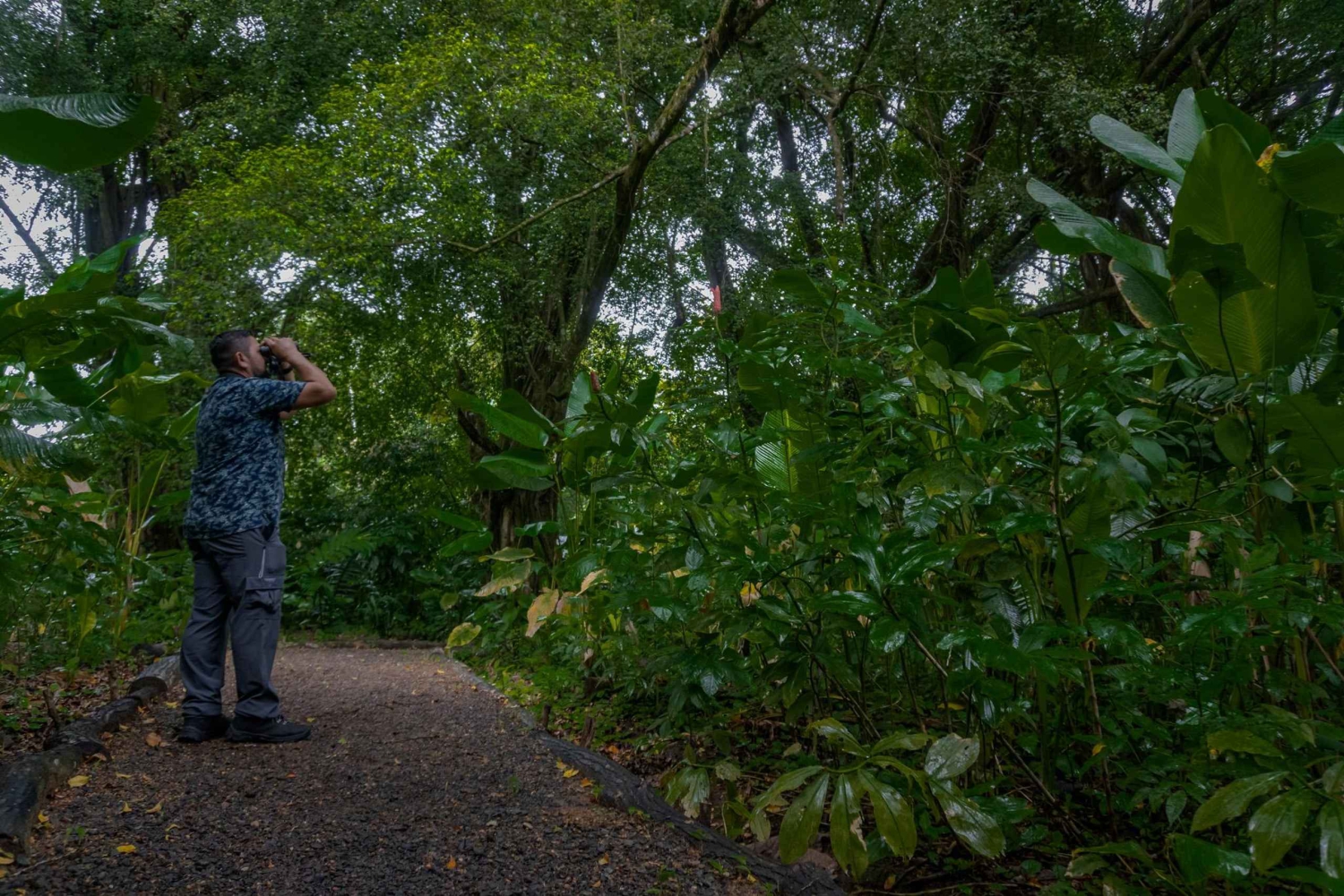 El Tanque: Geführte GreenEcoPark-Wanderung mit saisonalen Früchten