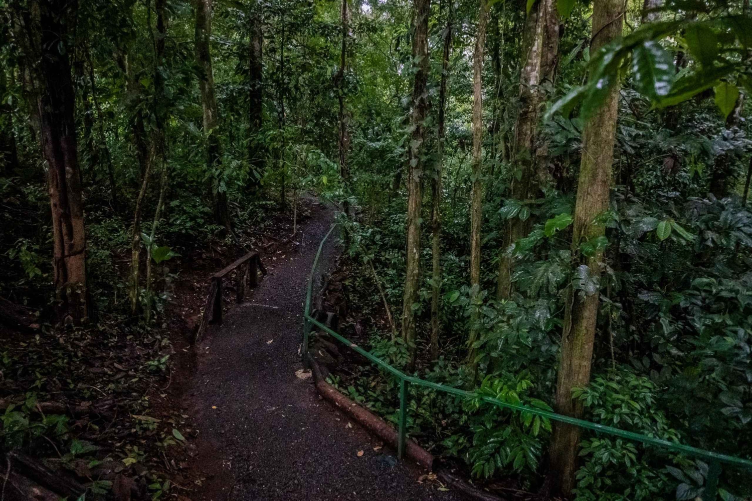 El Tanque: Geführte GreenEcoPark-Wanderung mit saisonalen Früchten