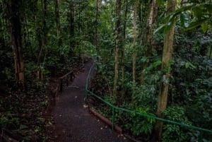 El Tanque: GreenEcoPark Guided Hike with Seasonal Fruits
