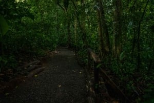 El Tanque: GreenEcoPark Guided Hike with Seasonal Fruits