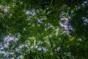 El Tanque: GreenEcoPark Guided Hike with Seasonal Fruits