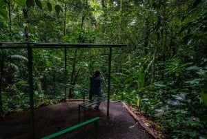 El Tanque: GreenEcoPark Guided Hike with Seasonal Fruits