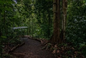 El Tanque: GreenEcoPark Guided Hike with Seasonal Fruits