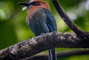 El Tanque: GreenEcoPark Guided Hike with Seasonal Fruits
