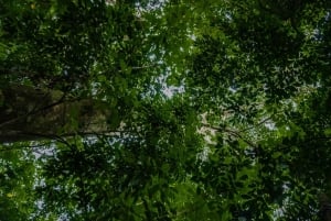 El Tanque: GreenEcoPark Guided Hike with Seasonal Fruits