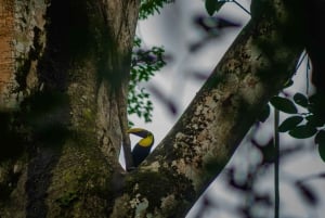 El Tanque: GreenEcoPark Guided Hike with Seasonal Fruits