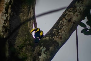 El Tanque: GreenEcoPark Guided Hike with Seasonal Fruits