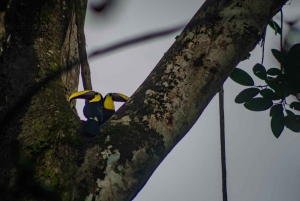 El Tanque: GreenEcoPark Guided Hike with Seasonal Fruits