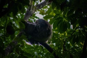 El Tanque: GreenEcoPark Guided Hike with Seasonal Fruits