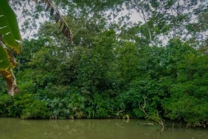 El Tanque: GreenEcoPark Guided Hike with Seasonal Fruits