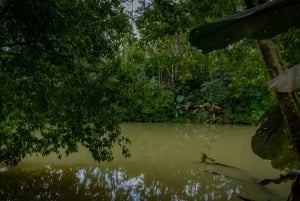 El Tanque: GreenEcoPark Guided Hike with Seasonal Fruits
