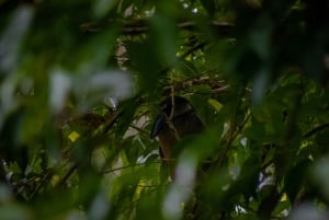 El Tanque: GreenEcoPark Guided Hike with Seasonal Fruits