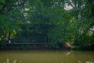 El Tanque: GreenEcoPark Guided Hike with Seasonal Fruits