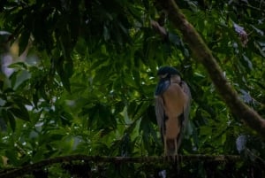 El Tanque: GreenEcoPark Guided Hike with Seasonal Fruits
